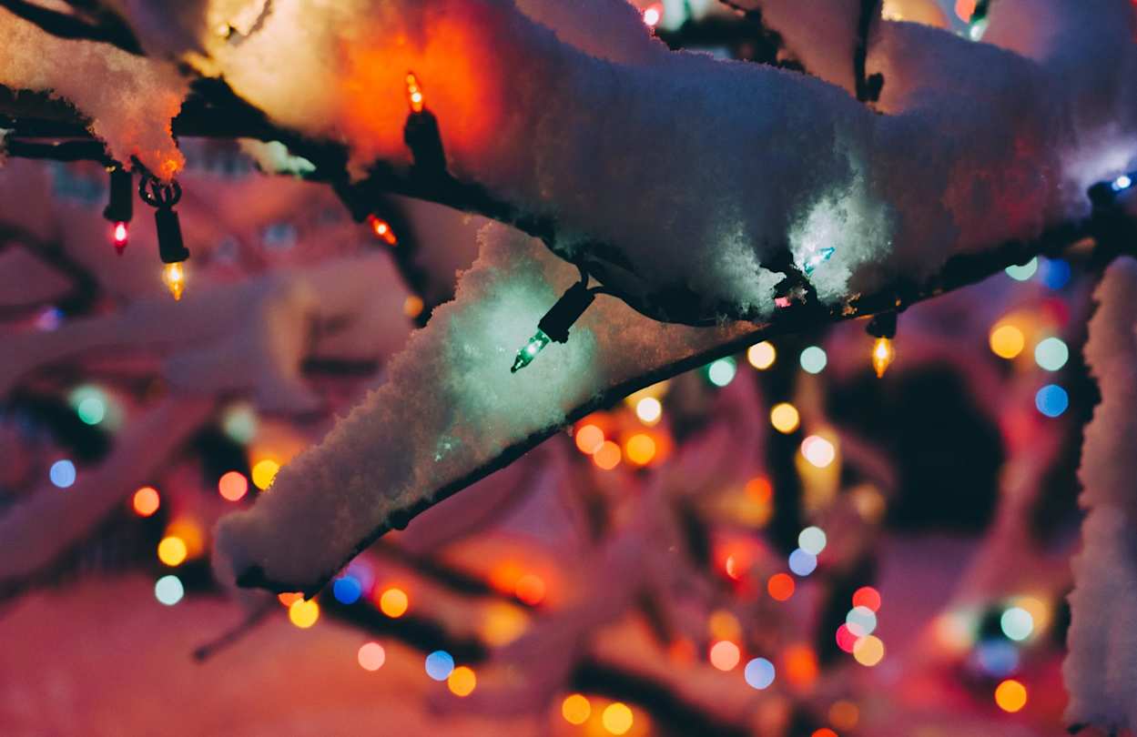 Close up of snow-covered lights on a Christmas tree