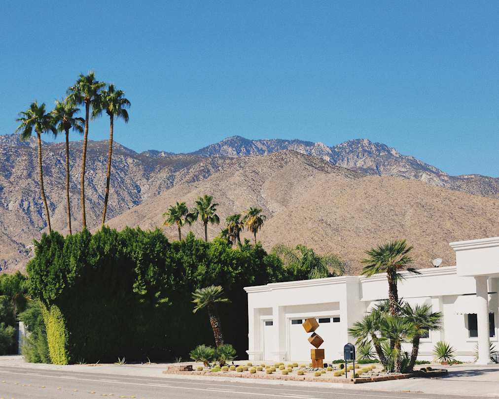 Home exterior and palm trees in Palm Springs