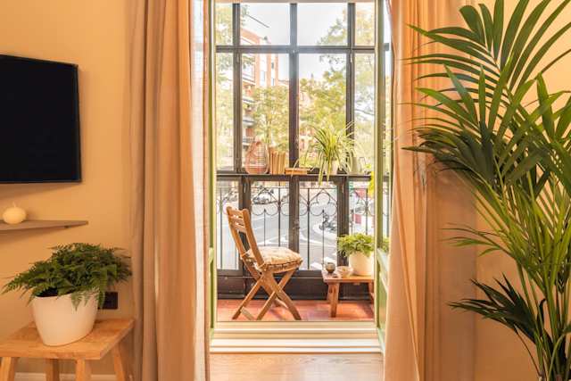 Parlour Palms, Plum Guide home in Madrid, Spain