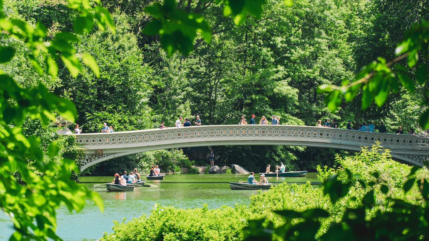 Bridge over water in Central Park