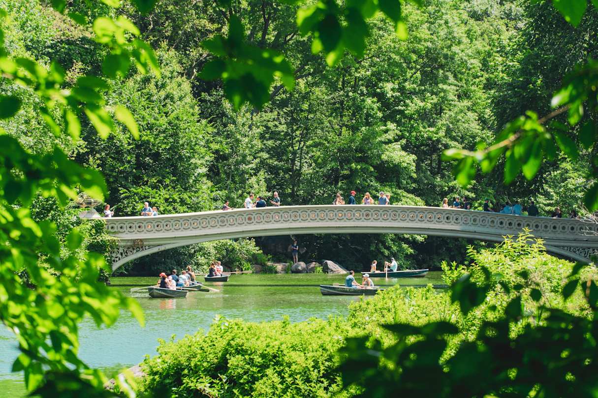 Bridge over water in Central Park