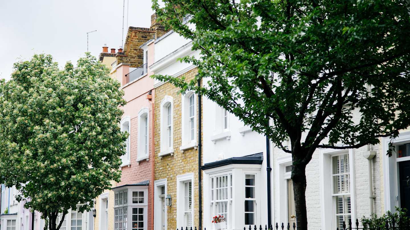 White, brown, and pink terraced houses behind green trees in Chelsea, London, England, UK