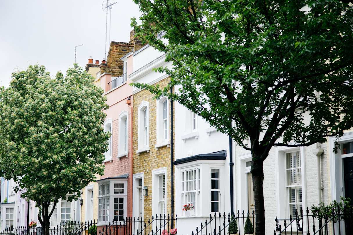 White, brown, and pink terraced houses behind green trees in Chelsea, London, England, UK