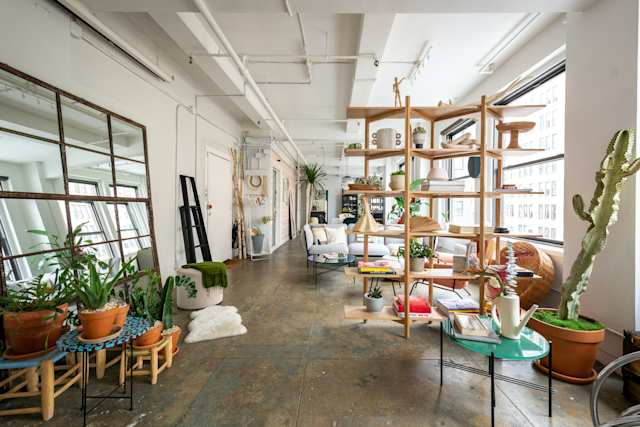 Plant filled space with natural light in Plum Guide home, Cloud 9