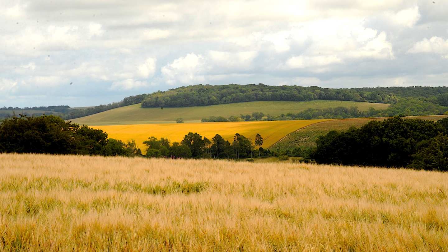 South Downs National Park, England, UK