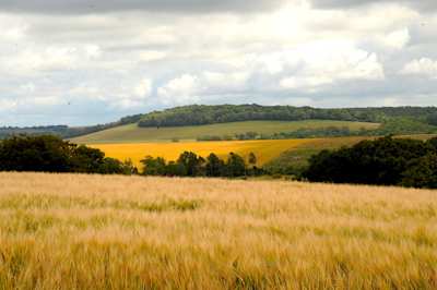 South Downs National Park, England, UK