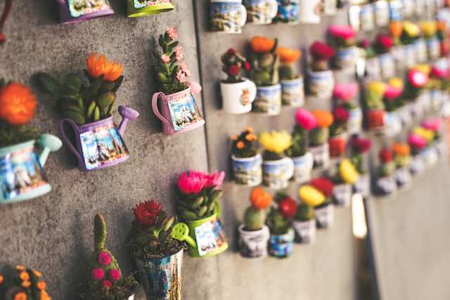 Potted plant magnets