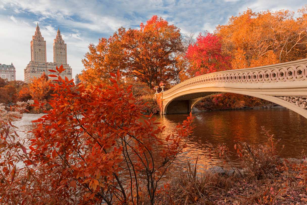 A view of Bow Bridge under trees with orange and brown leaves in Central Park in autumn, New York, USA