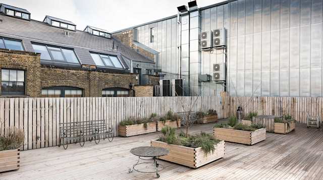 rooftop herb garden