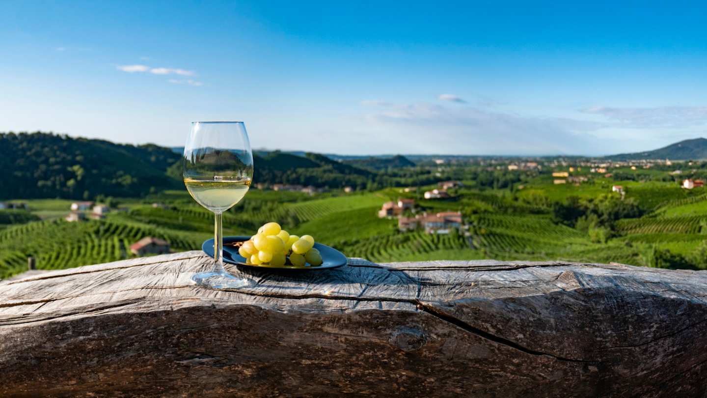 Wineglass and grapes with Tuscany in the background, Italy