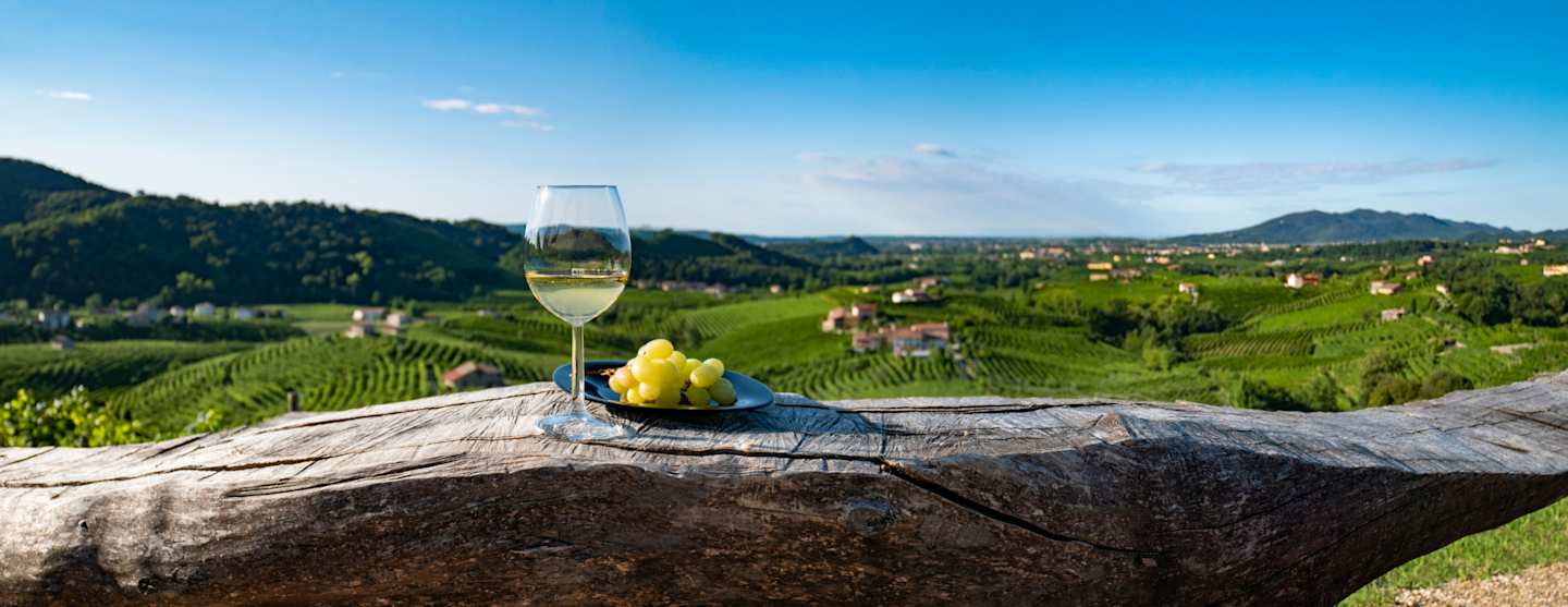 Wineglass and grapes with Tuscany in the background, Italy