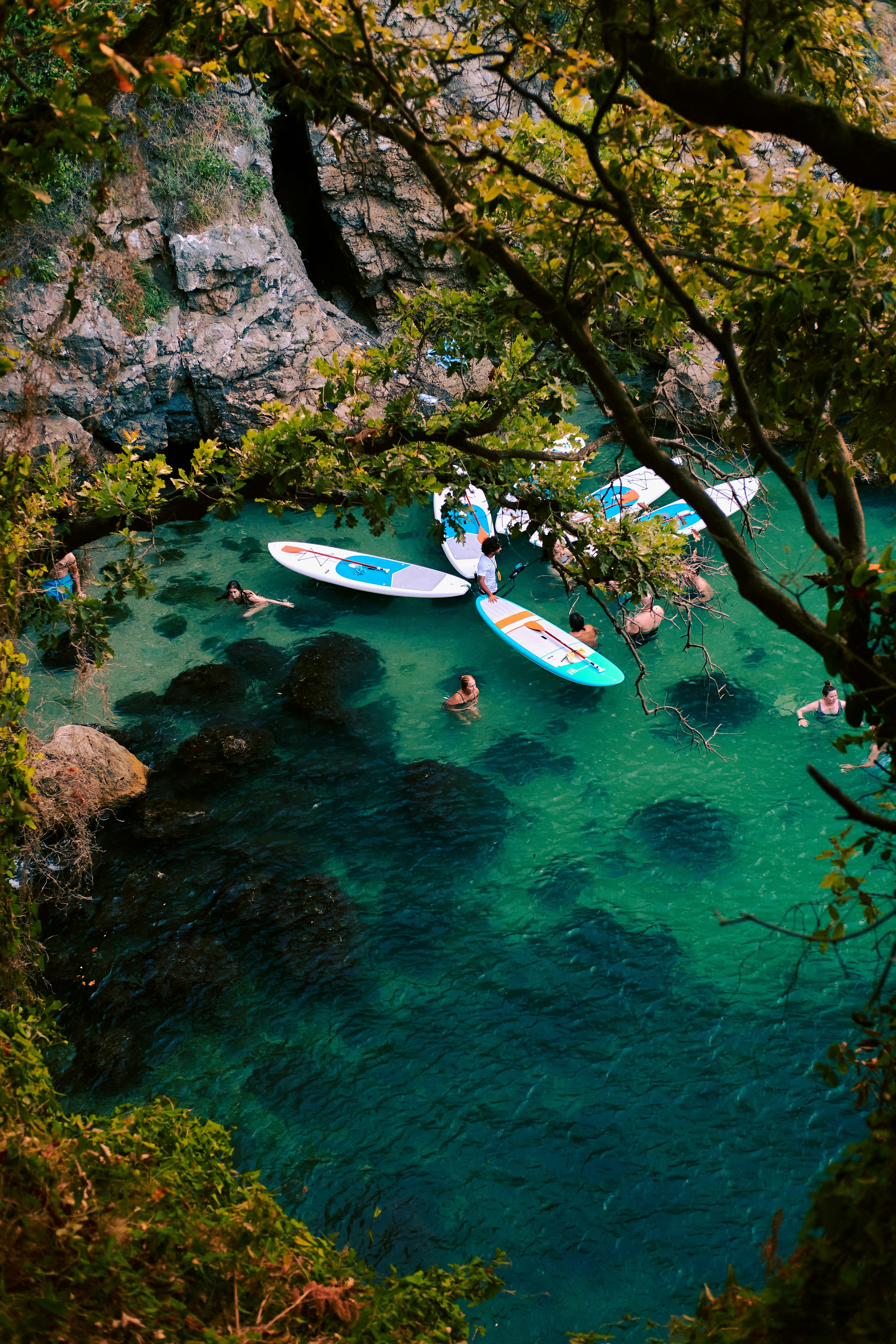 People swimming and paddle boarding in clear waters. beneath trees in Sorrento.