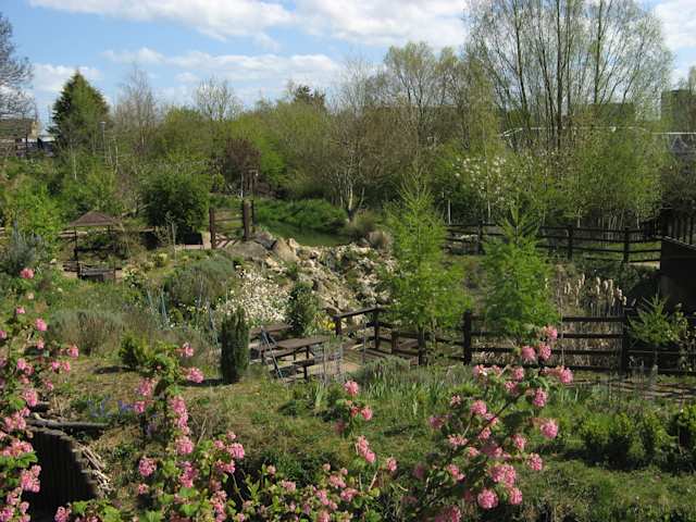 Pink flowers and green trees at Railworld Wildlife Haven, Peterborough |Image by Environment City is licensed under CC BY-SA 4.0