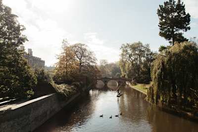 Punting in Cambridge, England, UK