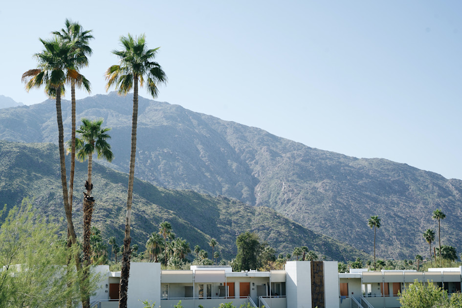 The Best Hikes in Palm Springs Plum Guide