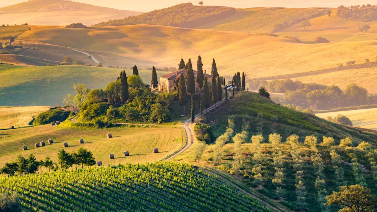 A lone farmhouse surrounded by cypress and olive trees, vineyards and rolling hills, Val d'Orcia, Tuscany, Italy