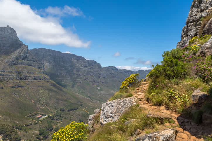 Cape Town Hiking Trail ?q=55&w=1280