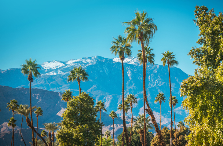 The Best Time To Visit Palm Springs