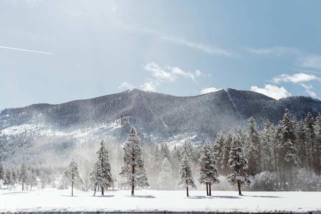 Winter in Lake Tahoe