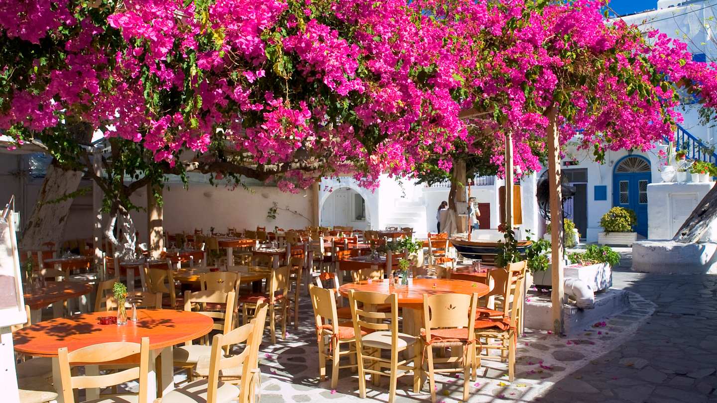 A group of tables and chairs outside a cafe underneath a bougainvillea, Mykonos, Greece