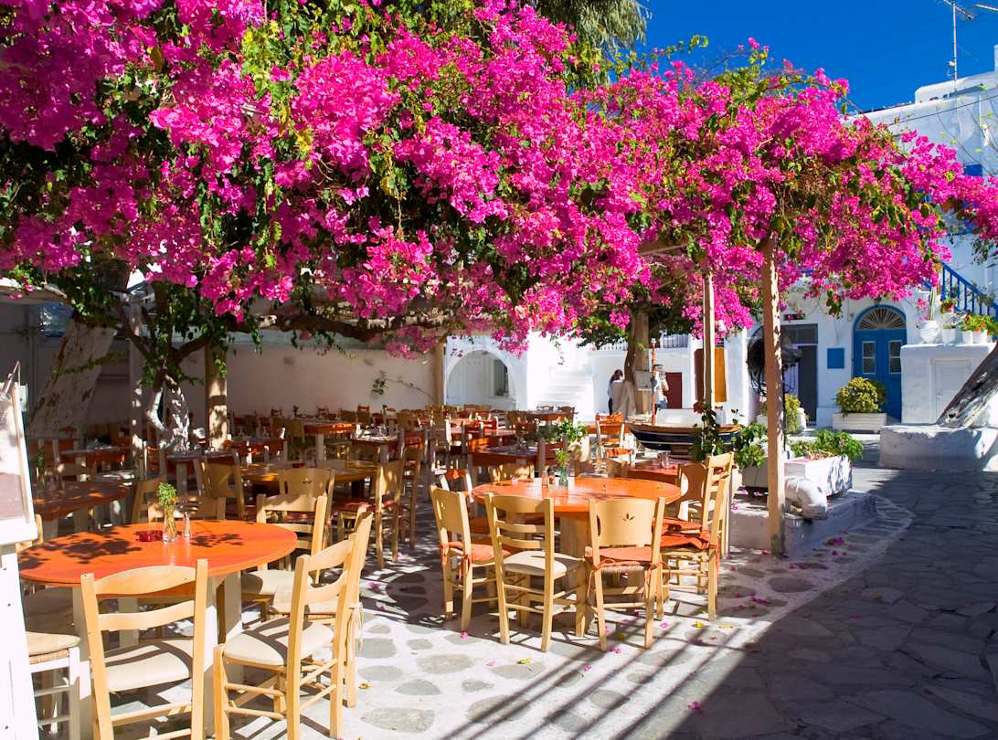 A group of tables and chairs outside a cafe underneath a bougainvillea, Mykonos, Greece