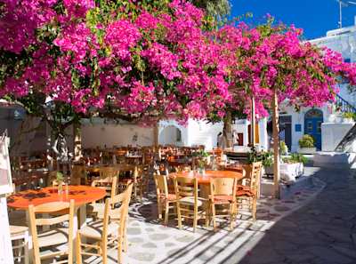 A group of tables and chairs outside a cafe underneath a bougainvillea, Mykonos, Greece