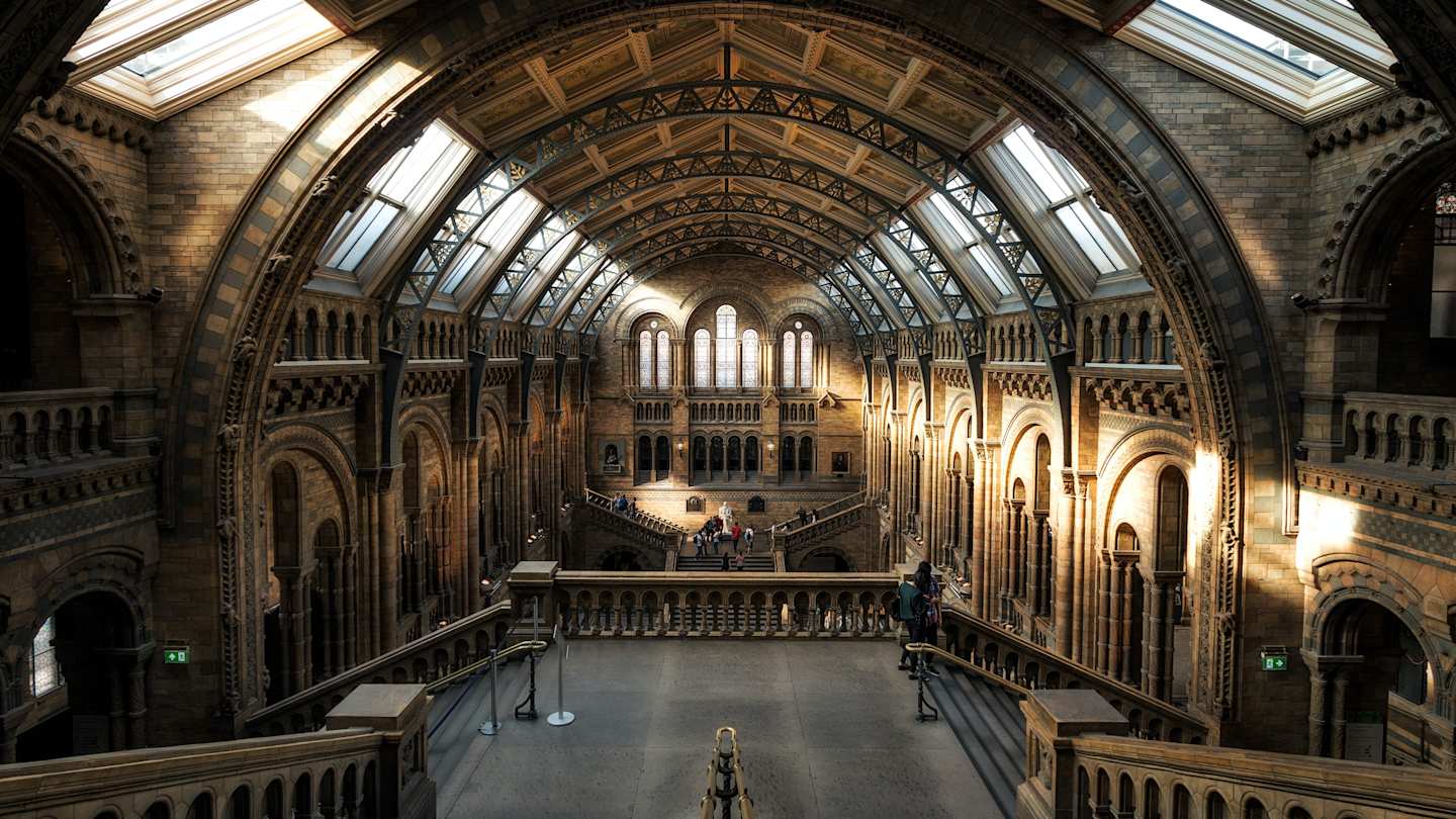 Interior shot of London's Natural History Museum