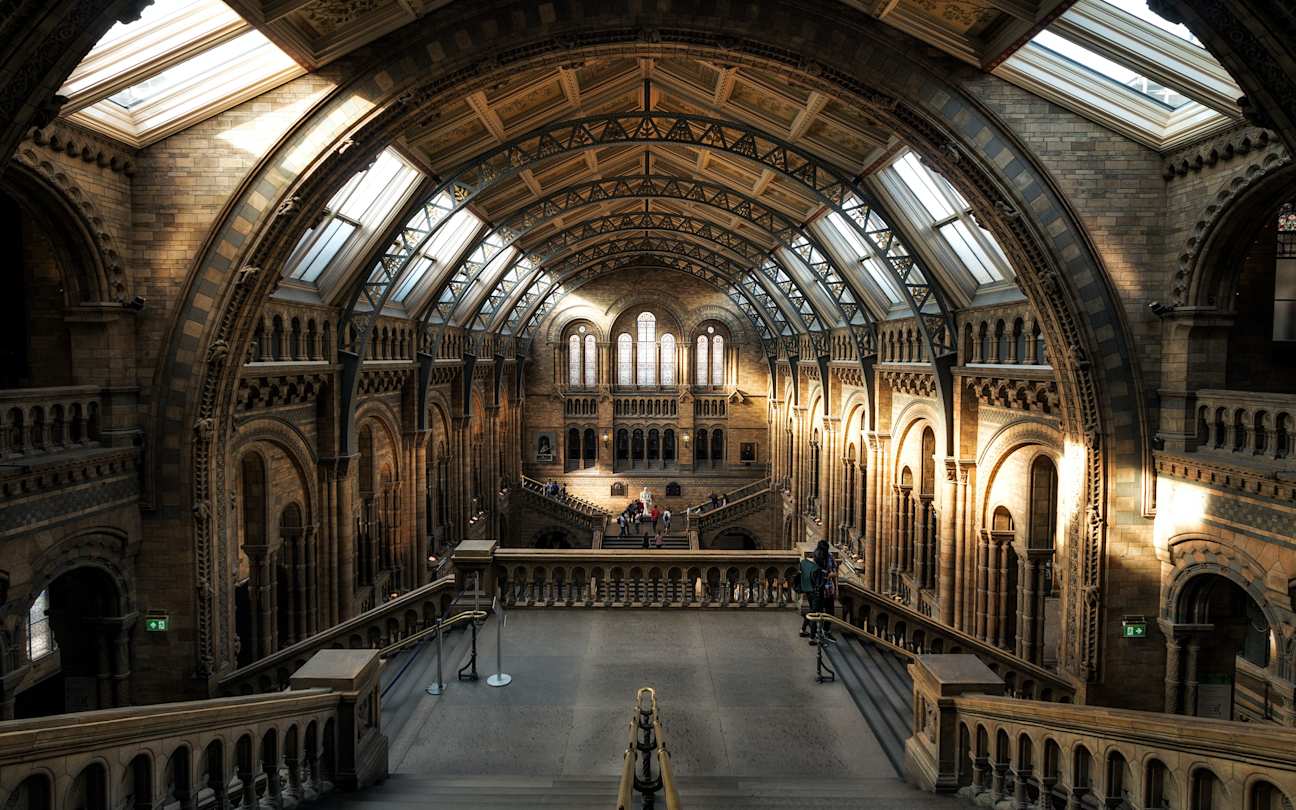 Interior shot of London's Natural History Museum