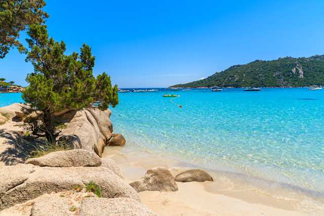 Golden sand and clear blue water at a family-friendly beach in summer, Santa Giulia Beach, Corsica, France