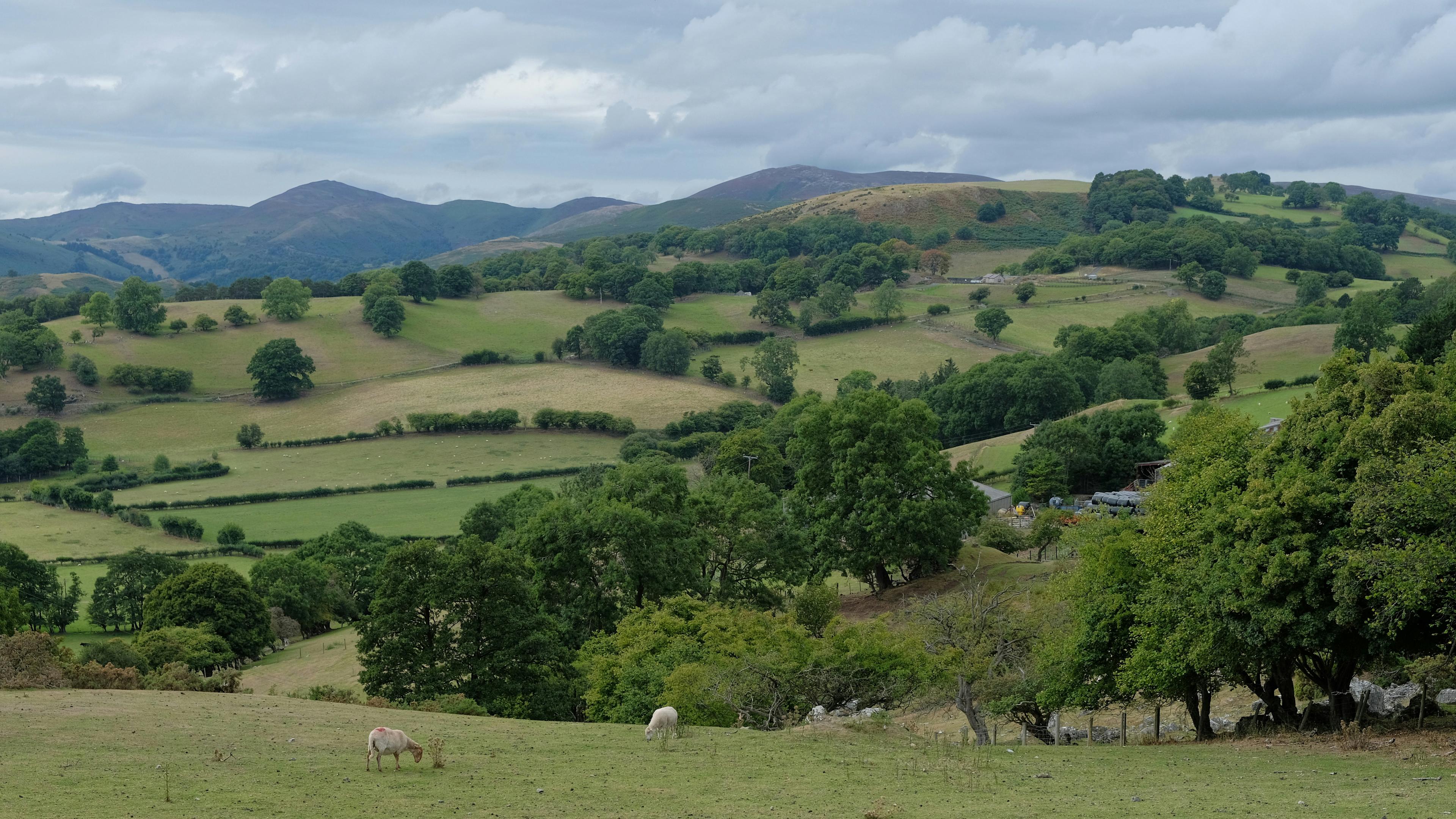 Wales - banner image