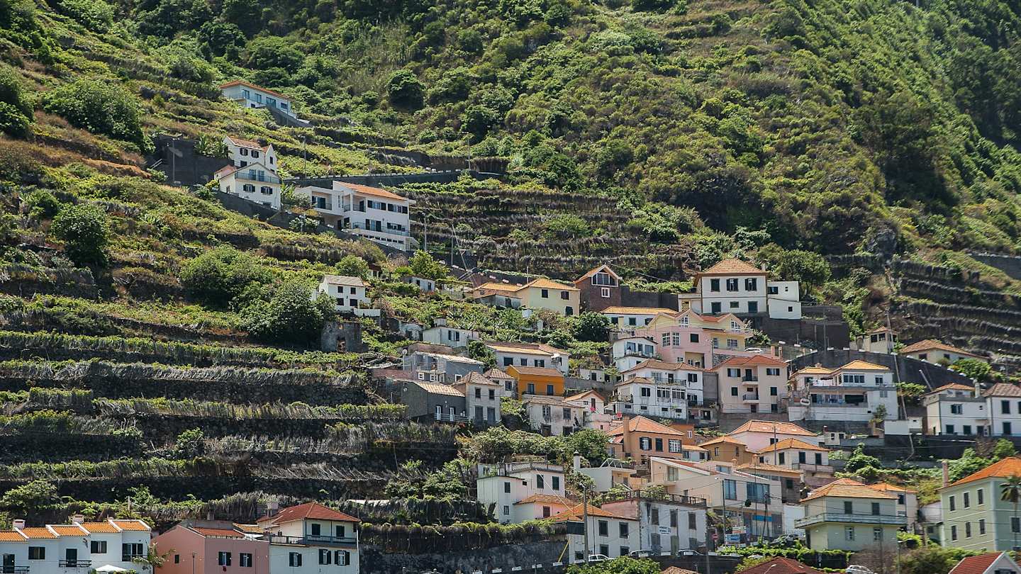 Homes on a hill in Madeira, Portugal