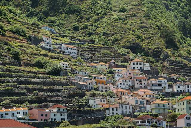 Homes on a hill in Madeira, Portugal
