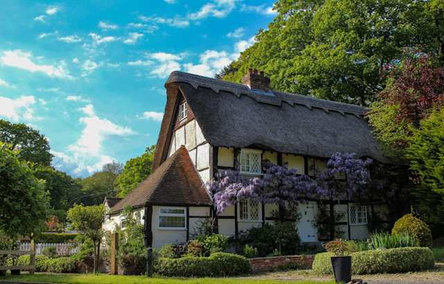 Wisteria House, Plum Guide home in the New Forest, UK