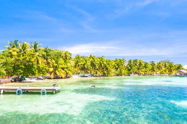 A view of a small pier jutting out into clear blue water in front of palm trees in Belize