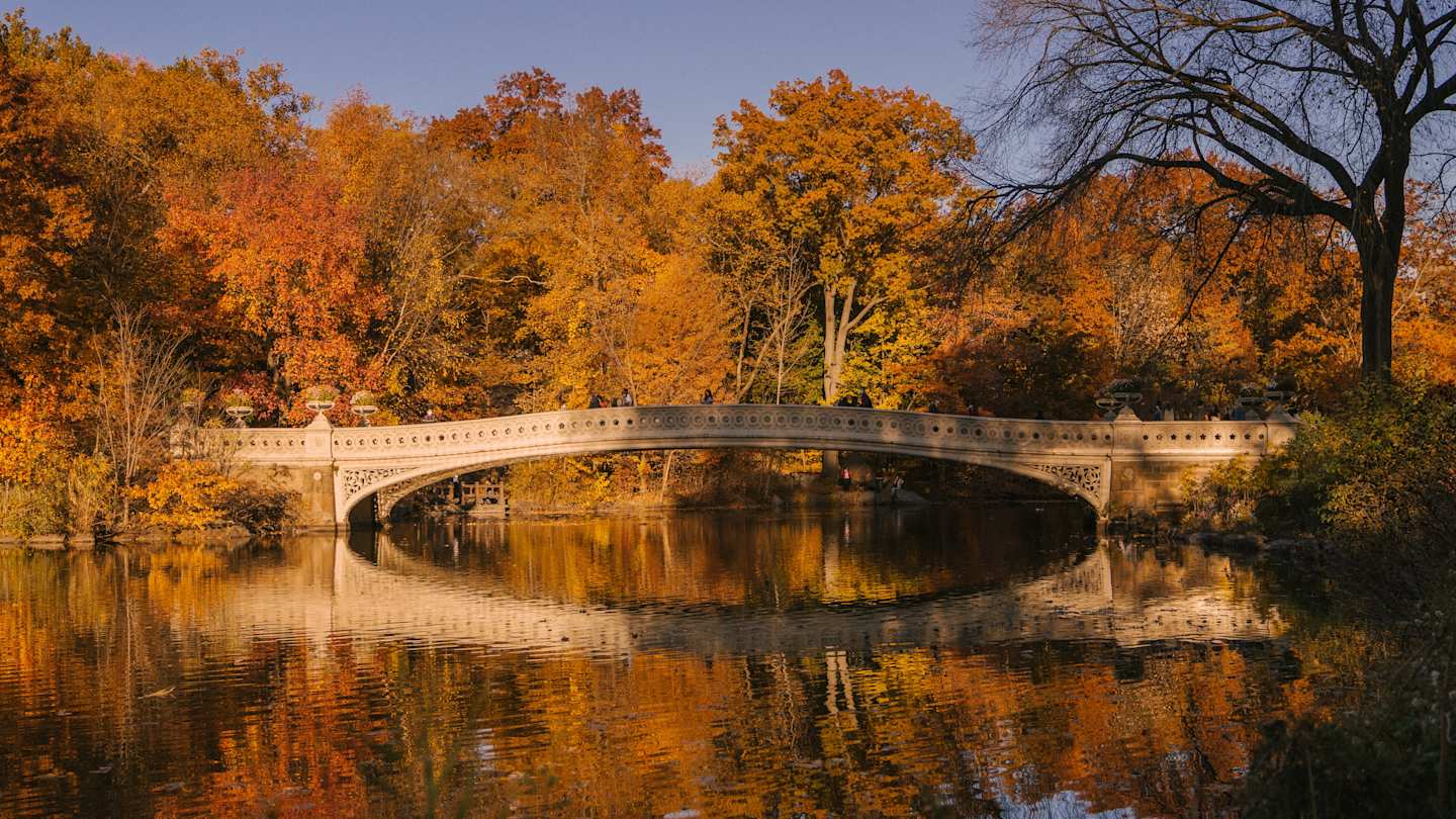 Central Park, New York City, USA