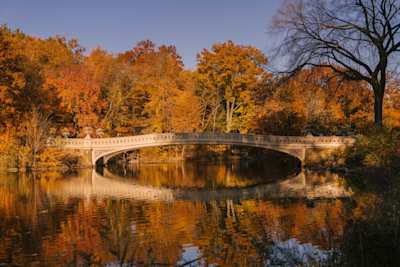 Central Park, New York City, USA