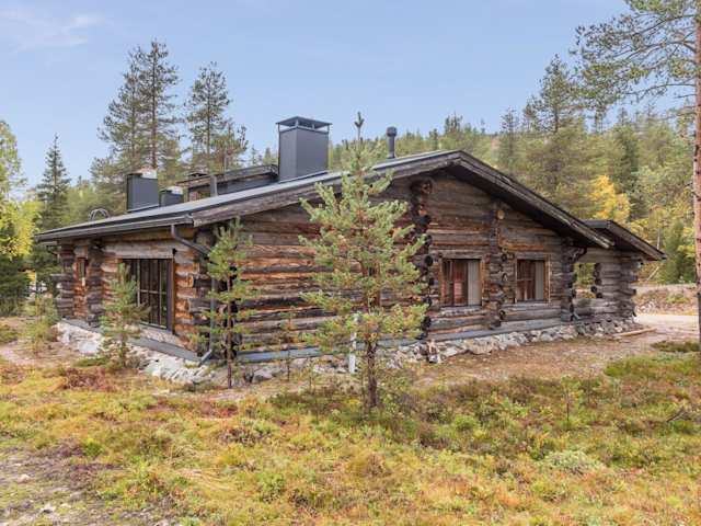 Cervidae, Plum Guide home in Lapland, Finland