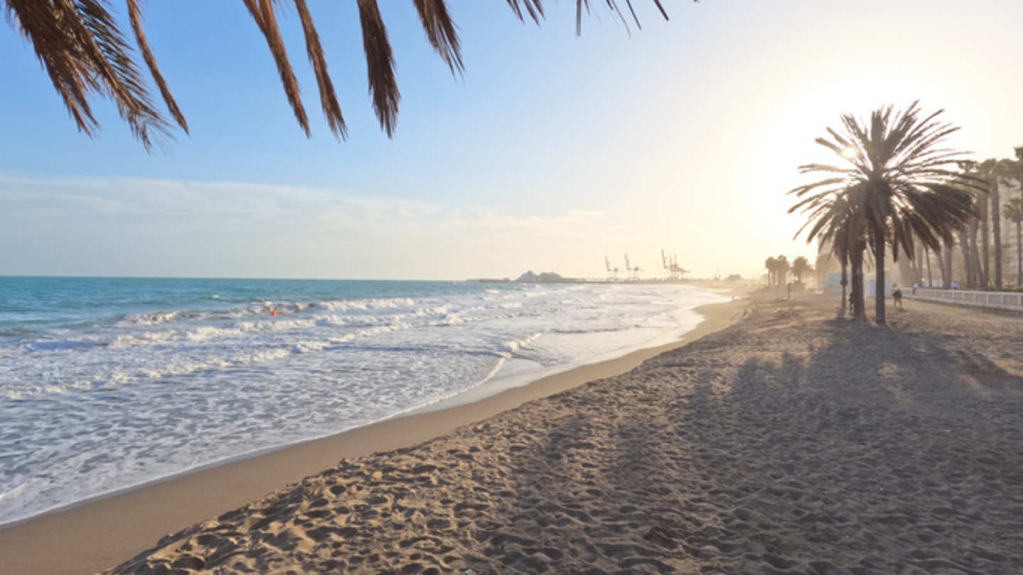 Sandy La Malagueta beach with palm trees at sunrise, Malaga