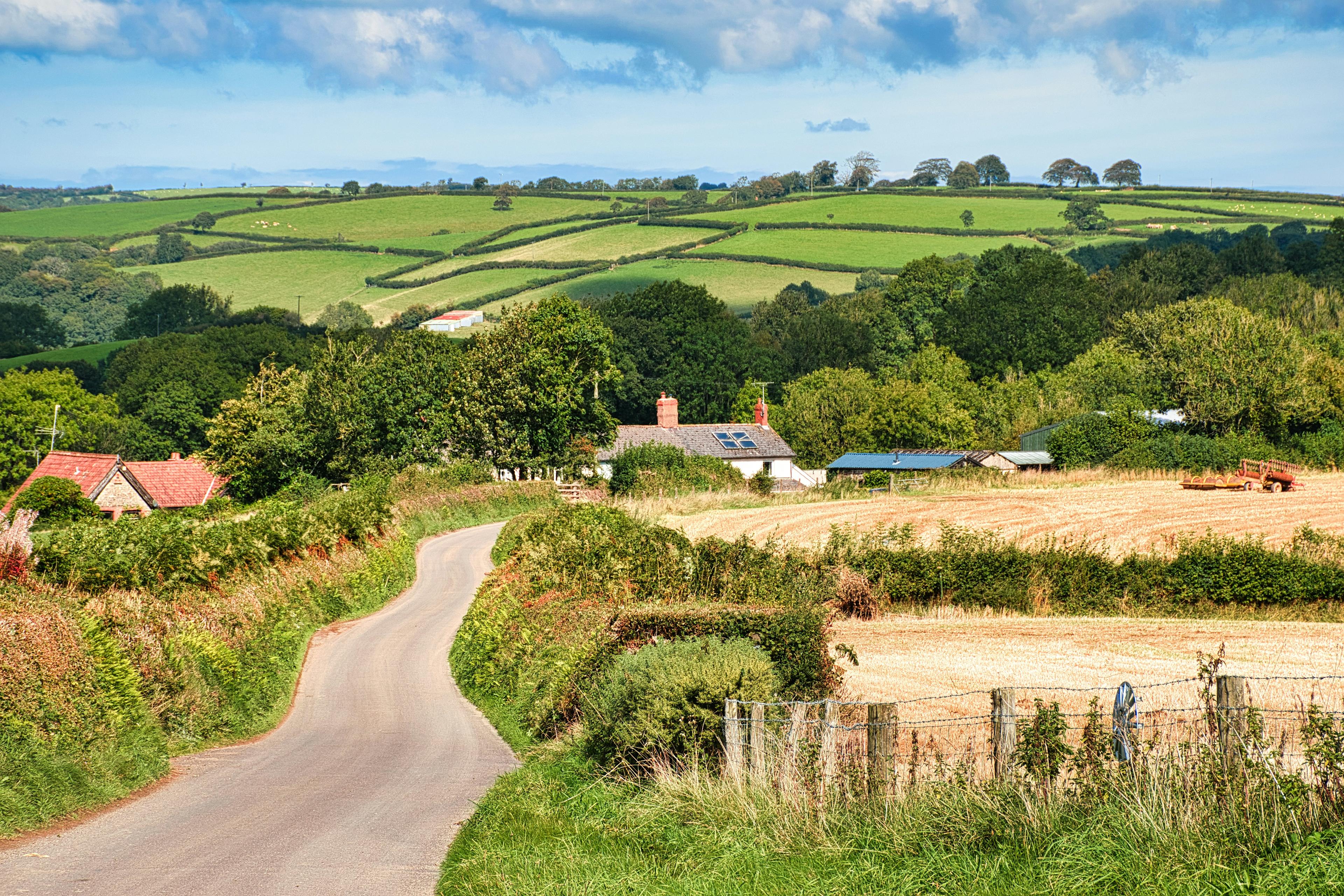 Devon - banner image