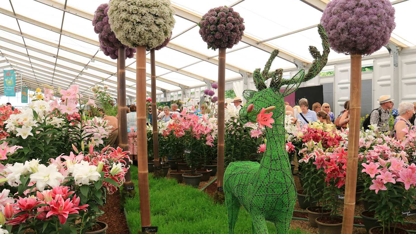 Colourful flowers at the Hampton Court Palace Flower Show