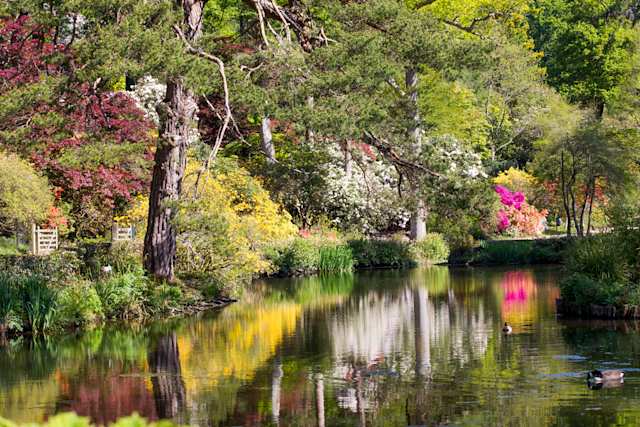 Leonardslee Lakes & Gardens | Image Courtesy of Leonardslee Lakes & Gardens