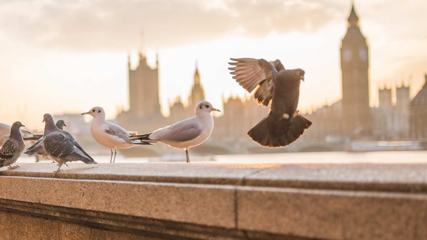 London in April