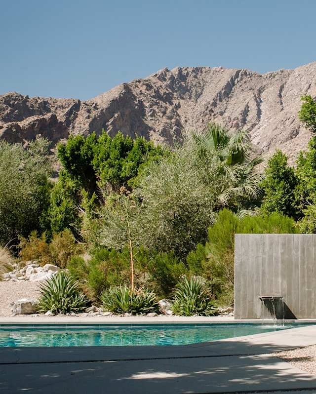 Pool and landscape around Mid-Century Meets Modern, Plum Guide home in Palm Springs