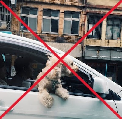 On the sixth day of Christmas