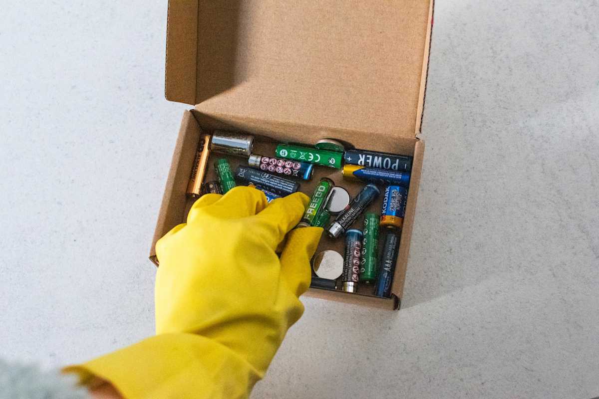 Batteries can cause severe injuries if chewed or swallowed by dogs — keep all batteries safely out of reach.