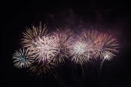 Fireworks can make our pets very anxious