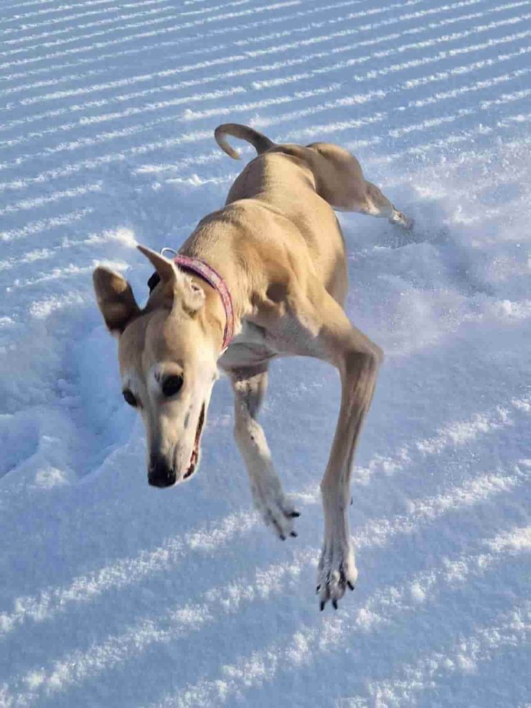 "I am one with ice and snow"