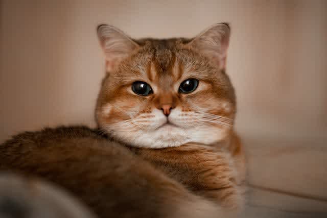 You can have 10 seconds of have my undivided attention. OK, maybe 8...