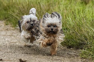 The problem with pads?