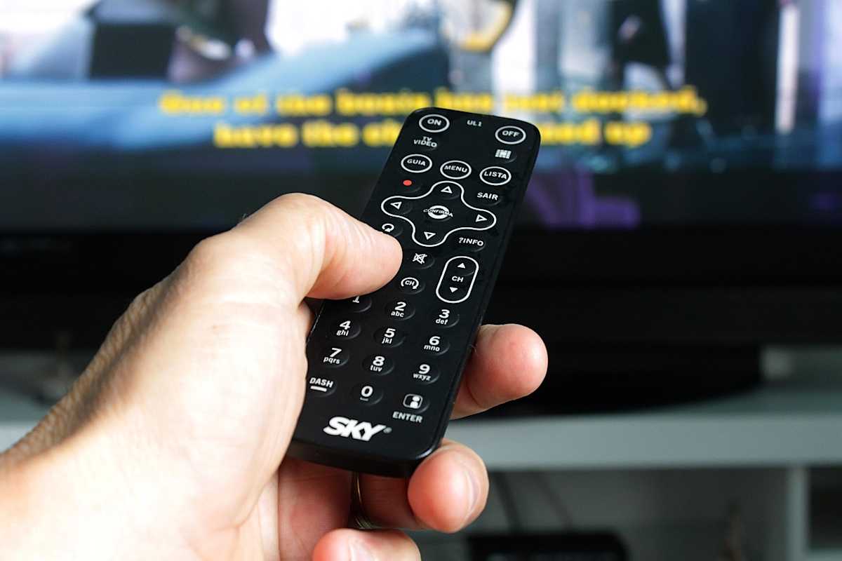 Dogs may chew or ingest batteries from remote controls